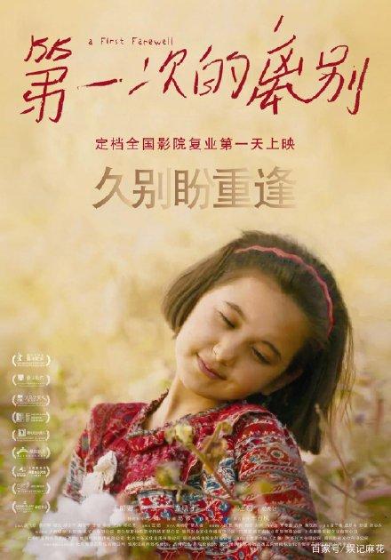 成都国际驾照怎么申请流程